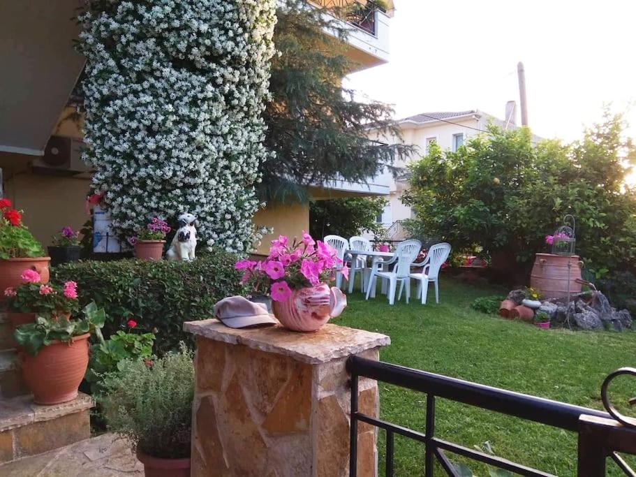 Διαμέρισμα Στην Περιοχή Εθνικής Αντίστασης Lägenhet Igoumenitsa Exteriör bild