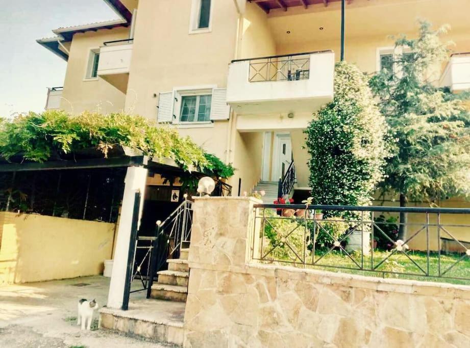 Διαμέρισμα Στην Περιοχή Εθνικής Αντίστασης Lägenhet Igoumenitsa Exteriör bild